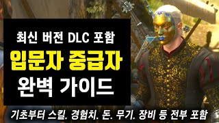 위쳐 3 입문자 완벽 가이드!! 기초부터 포션.스킬.돈벌기.에이론다이트.장비.설정.경험치 등 전부 포함