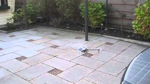 Align 250 se flybarless 3g