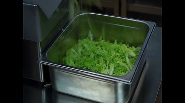 Lettuce cuts with curved slicing disc FCC-5+ (3/16")