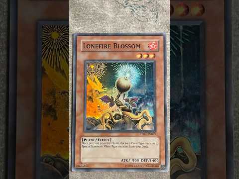 Gigavise Deck Profile