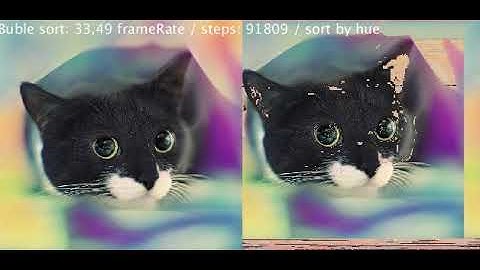 Pixel Bubble Sorting visualization on a colorful cat img [320x303]