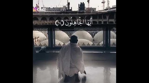 صوتة عالم ثاني - قرآن كريم 🍃💙 أجمل حالات واتس اب دينية مقاطع دينية قصيرة مقاطع انستقرام دينية