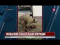 В Талдыкоргане спасатели вызволили козу из бетонной ловушки