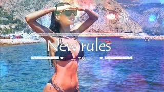 Kamelia- New Rules
