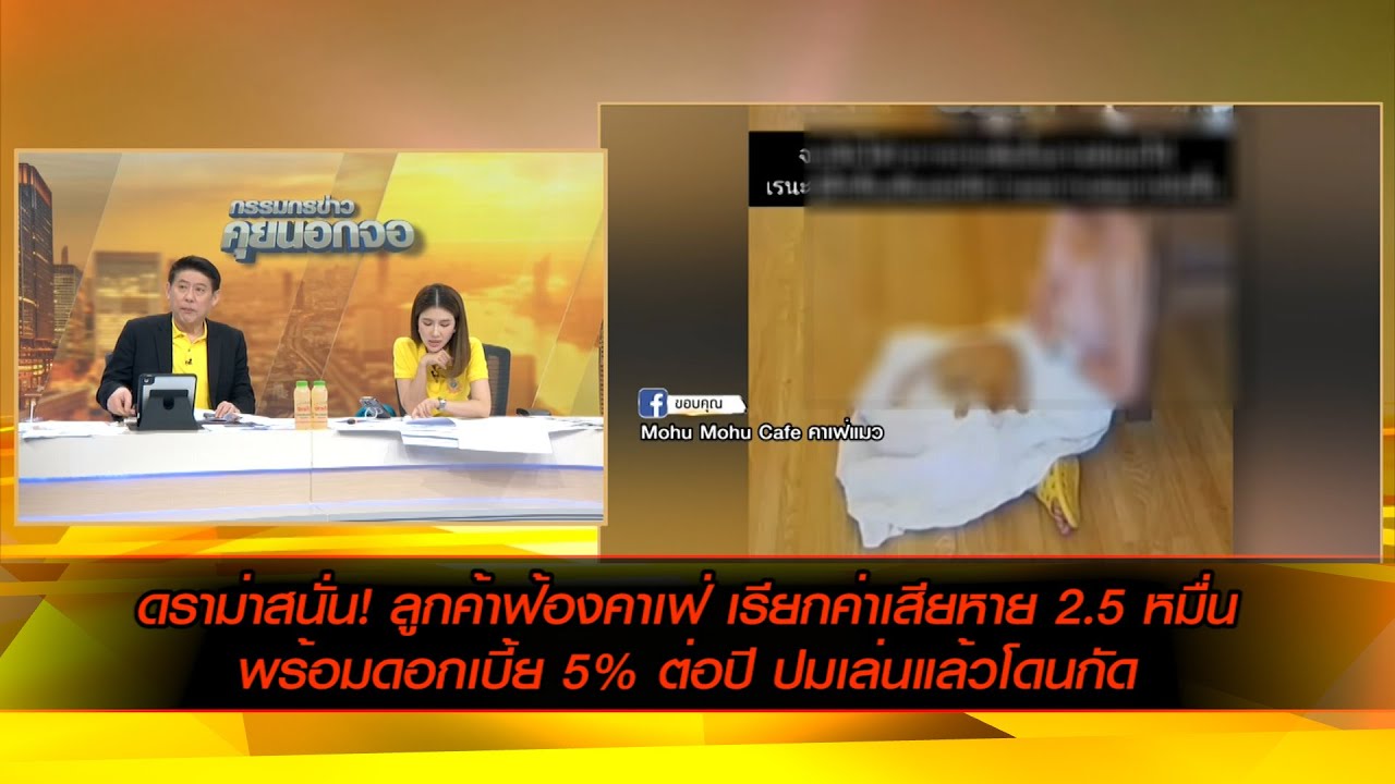 ดราม่าสนั่น! ลูกค้าฟ้องคาเฟ่ เรียกค่าเสียหาย 2.5 หมื่น พร้อมดอกเบี้ย 5% ต่อปี ปมเล่นแล้วโดนกัด