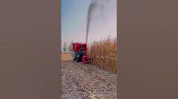 Silage Harvester Corn Harvesting Partner 