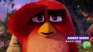 Ba Gulli 2019 - Angry Birds