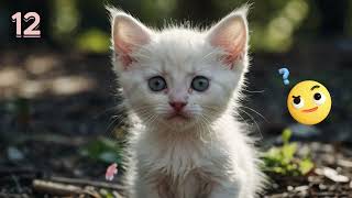 Stray Kittens#ai #aicat #viral #cutecat #aikitten