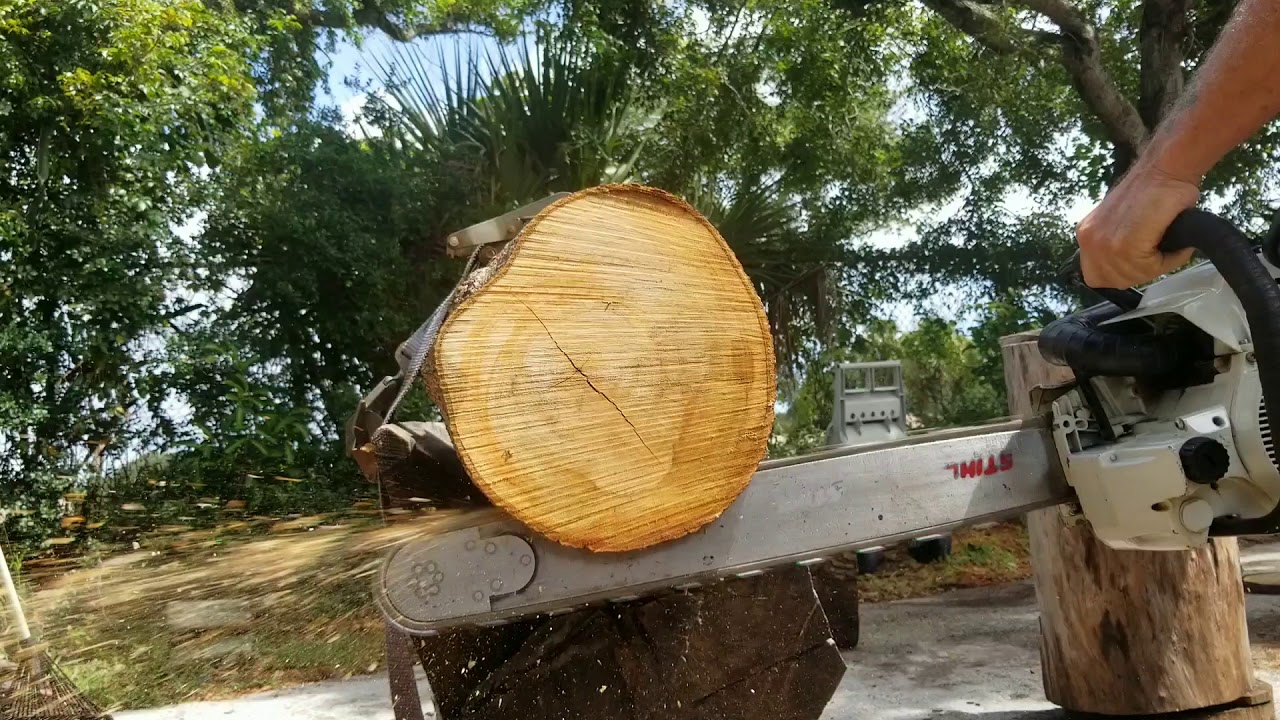 Chainsaw RACE chain 28" Tore off 20 teeth YouTube