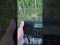 7046 khz (lsb)