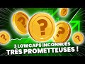 Ne ratez pas ces 3 cryptos lowcaps inconnues et pourtant trs prometteuses