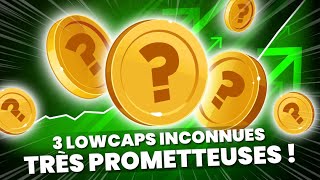 Ne ratez pas ces 3 Cryptos Lowcaps inconnues et pourtant très prometteuses