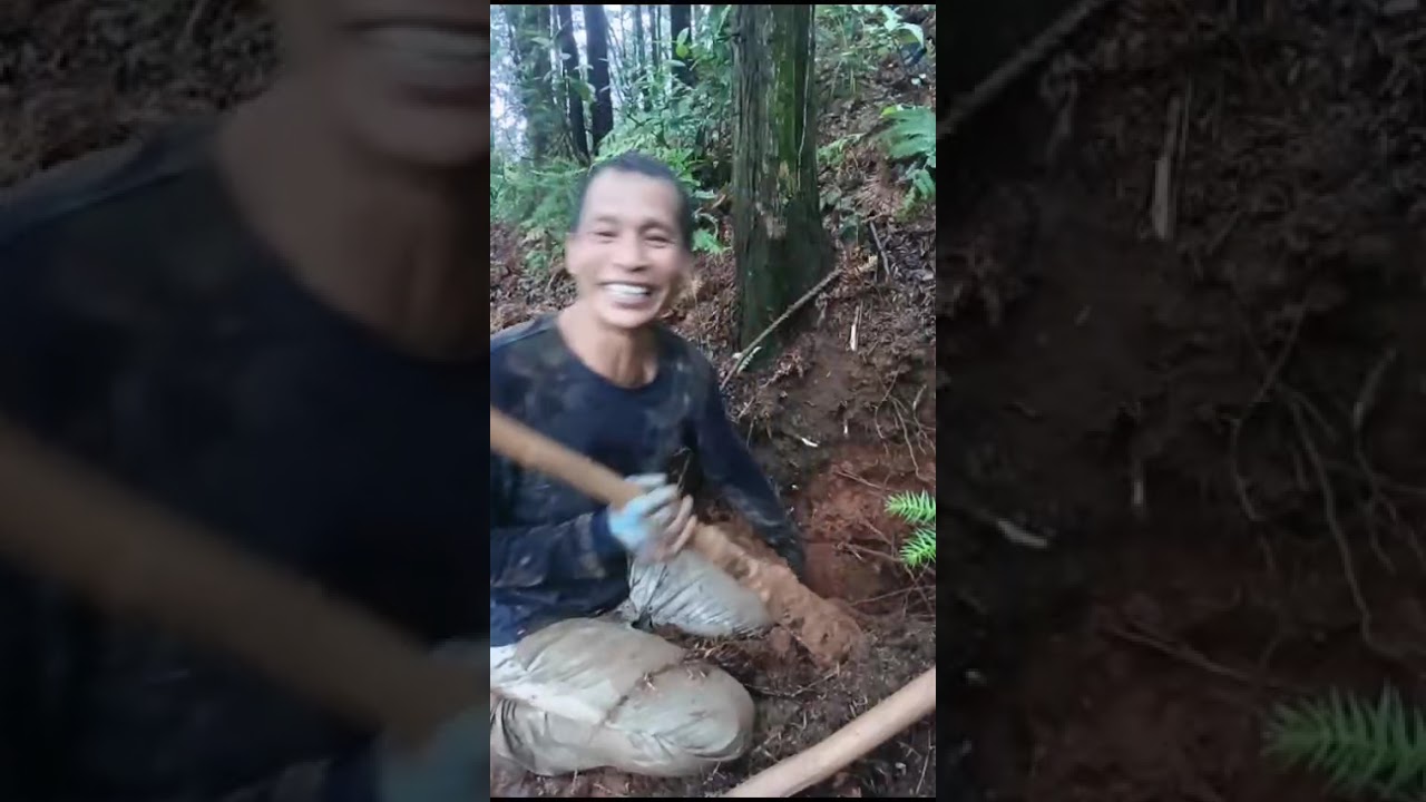 Try to get as much as possible