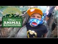 Animal Kingdom Family Fun Vacation #disneyworld #animalkingdom #shorts
