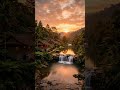 Golden Sunset River 🌅 Relaxing Nature Sounds & Peaceful Evening Vibes