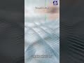 Industrial Metal Mesh Quality Metal Mesh, Professional Supply
