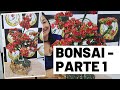 BONSAI COM FLORES EM E.V.A - FAÇA VOCÊ MESMO (AULA 1) - EXCLUSIVIDADE MIL FLORES FORTALEZA