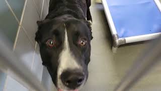 acs A663054