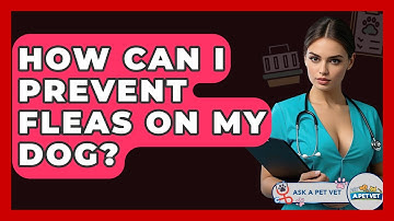 How Can I Prevent Fleas On My Dog? - Ask A Pet Vet