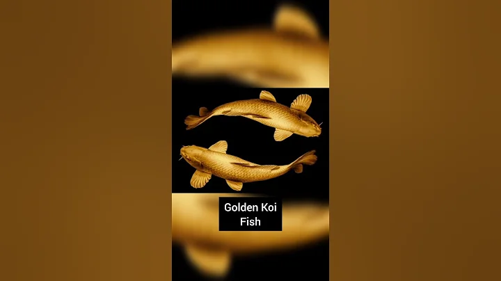 Lucky Mobile Wallpaper To Attract Wealth - DayDayNews