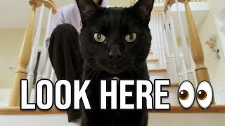 if you see this video, something good will happen to you today