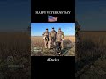 www.habitatflats.com