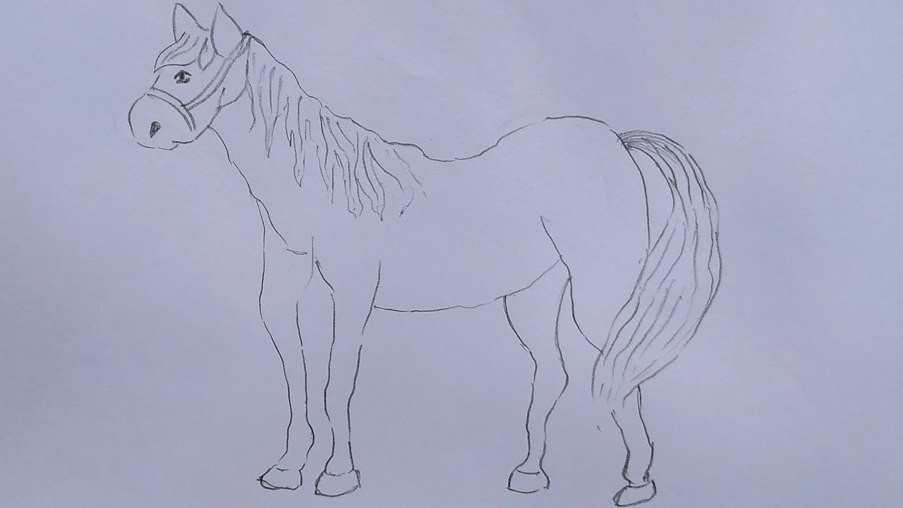 How To Draw A Horse | Step By Step | Horse Drawing | Tutorial 35 - YouTube