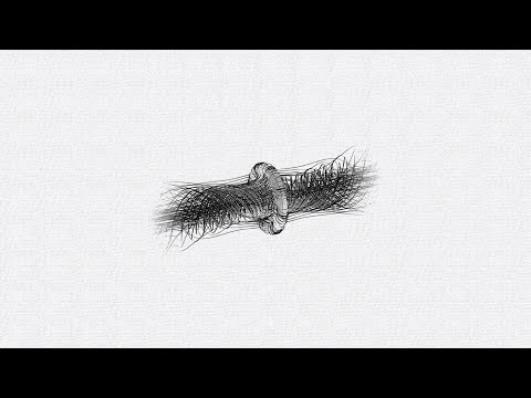 Introducing Vortex, a