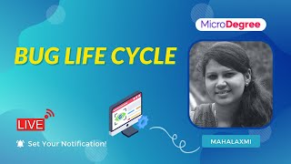 Bug Life Cycle