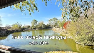 День в Парке «До-До»