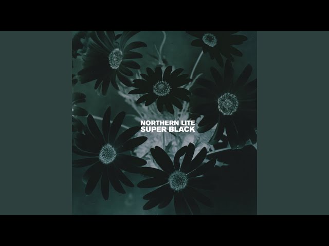 Northern lite - If I Knew