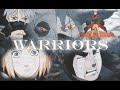 Amv  warriors