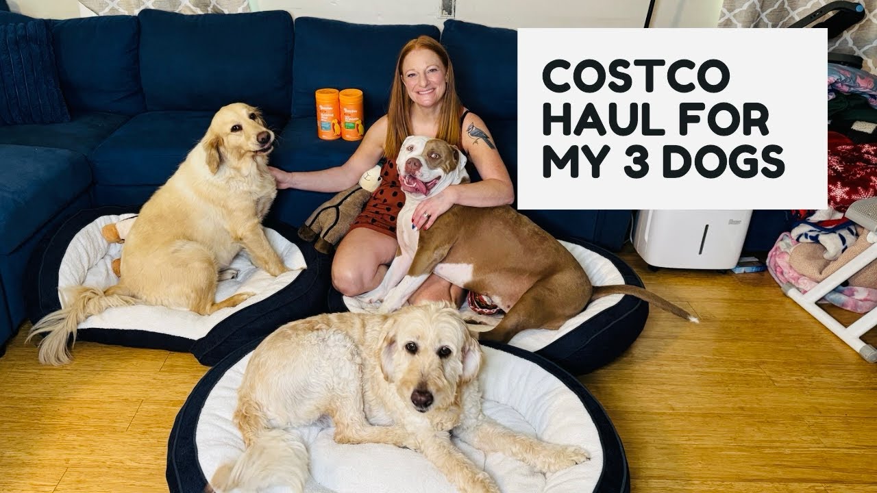 COSTCO HAUL FOR MY 3 DOGS WITH ZESTY PAWS 🐾