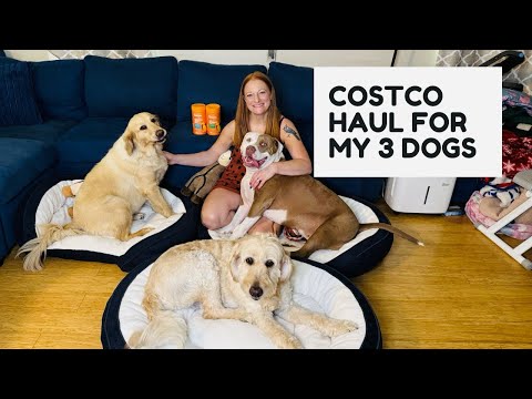 Costco Haul For My 3 Dogs With Zesty Paws 🐾