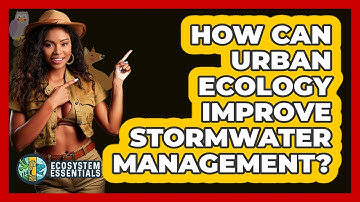 How Can Urban Ecology Improve Stormwater Management? - Ecosystem Essentials