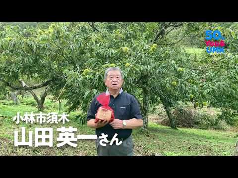 みんなのCM　山田さん