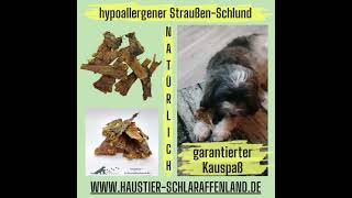 Straußen Schlund Abschnitte - Ein Exotischer Und Hypoallergener Hunde-Kausnack
