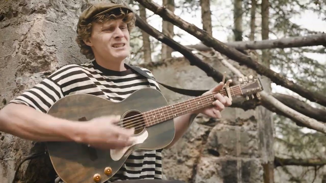 Mister Bird - A Stone in your Pocket