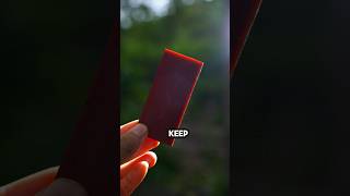 Making 2,000-Year-Old "Superfood" Gelatin from Scratch.