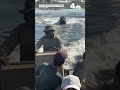 Video captures terrifying moment hippo chases tour boat