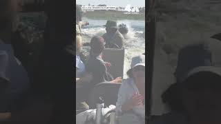 Video captures terrifying moment hippo chases tour boat