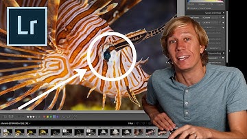 10 Lightroom Editing Tips for Underwater Photographers