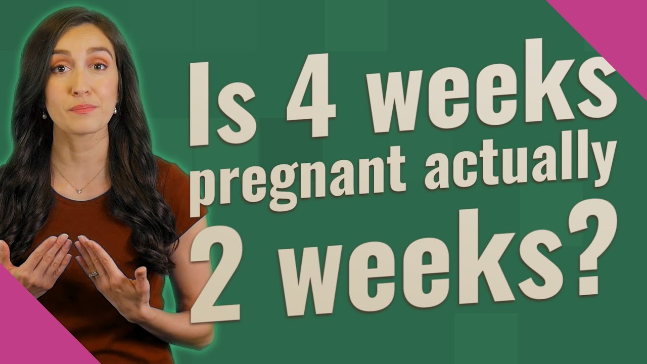 Is 4 Weeks Pregnant Actually 2 Weeks YouTube