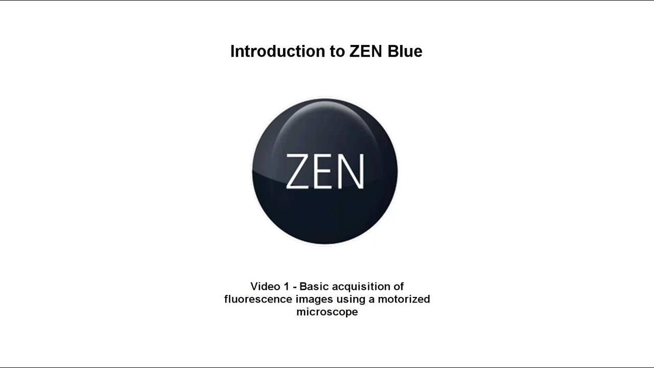 zen lite software zeiss