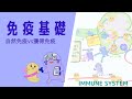 【免疫基礎】自然免疫vs獲得免疫/細胞性免疫vs液性免疫について物理選択者でもわかるように説明します IMMUNE SYSTEM ~Innate vs Adaptive Immunity~