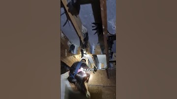 Why Is Bird’s Nest So Expensive? The Truth Will Shock You!