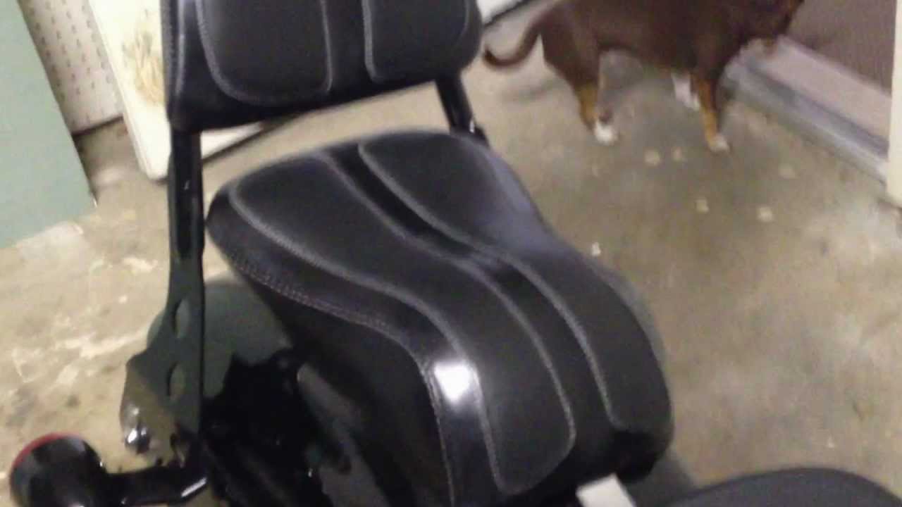 Harley Sportster 48 Sissy Bar with Sterling seat and decal XL1200X