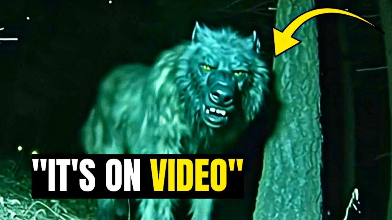 They Went Camping & Night Vision Camera Caught This Monster