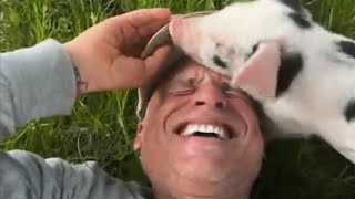 Piglet thinks this man's her mommy