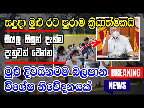 Hiru Today Sinhala BREAKING NEWS Here is special news just received Hiru News Sinhala 1 Hiru Today Sinhala BREAKING NEWS Here is special news just received Hiru News Sinhala thumbnail